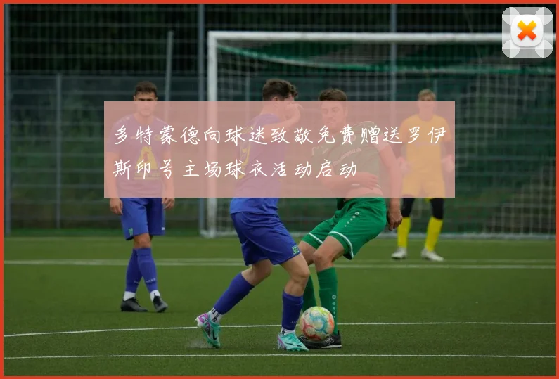 多特蒙德向球迷致敬免费赠送罗伊斯印号主场球衣活动启动